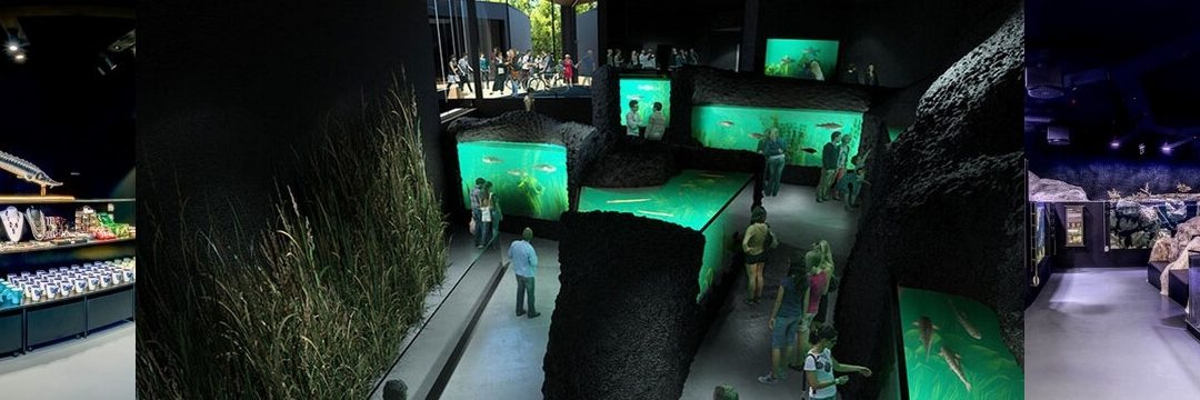 Aquatika – Slatkovodni akvarij