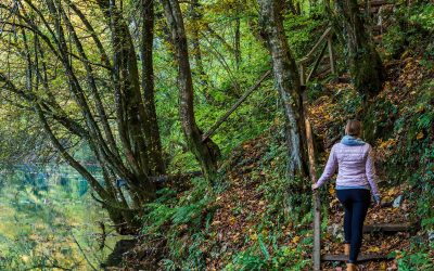 Hiking trails & Embrace nature
