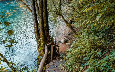 Hiking trails & Embrace nature