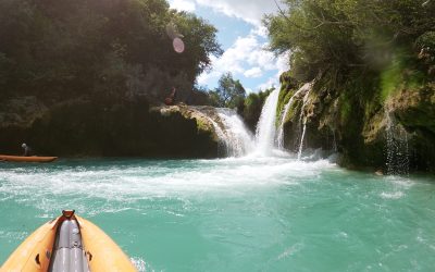 Kayak Safari