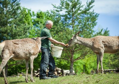 Ranch Dolina Jelena - Mirjana rastoke